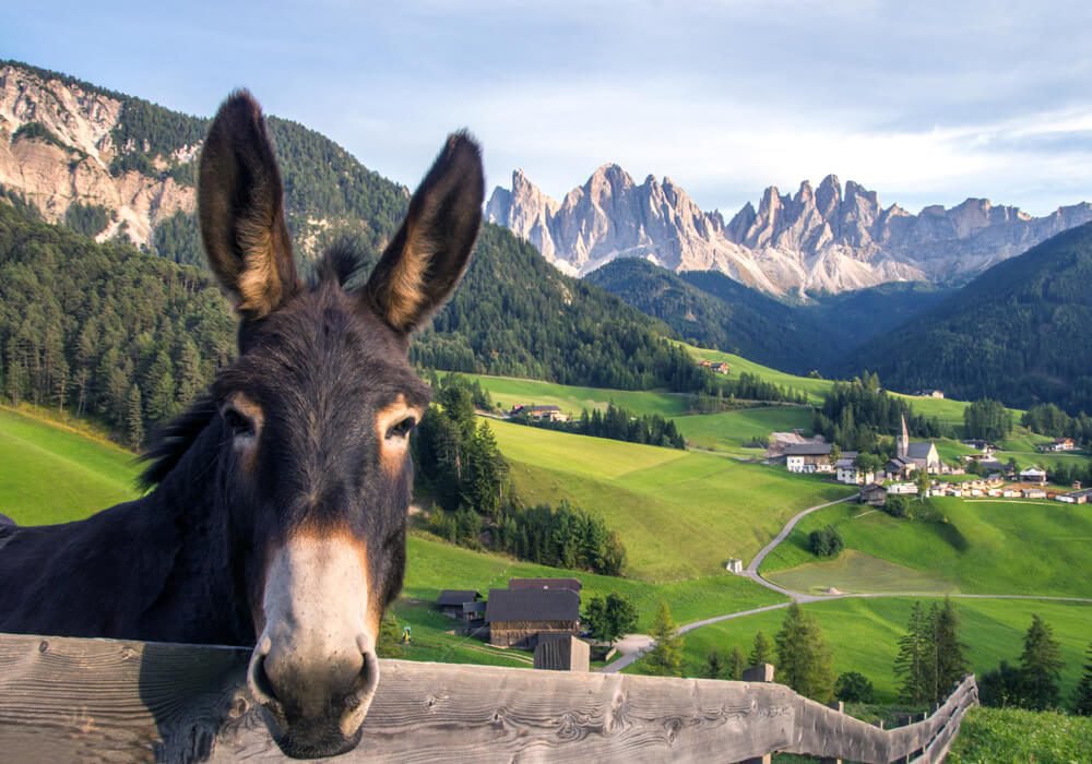 bauernhofurlaub-dolomiten