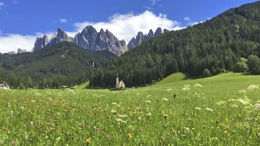 Risveglio della primavera per 2 persone