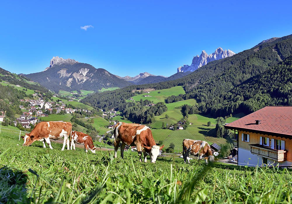 jaiterhof-suedtirol