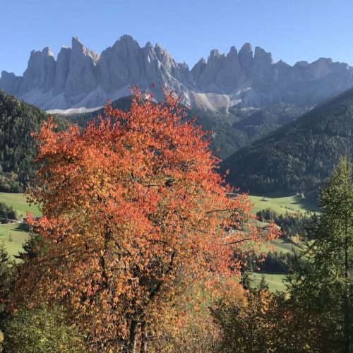 jaiterhof-suedtirol-bauernhofurlaub (16)