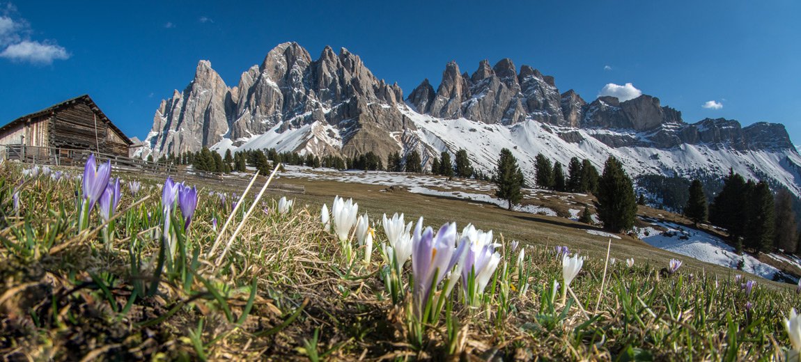 Parco Naturale Puez-Odle: vivere la natura nel cuore del patrimonio naturale dell’ UNESCO parco-naturale-puez-odle