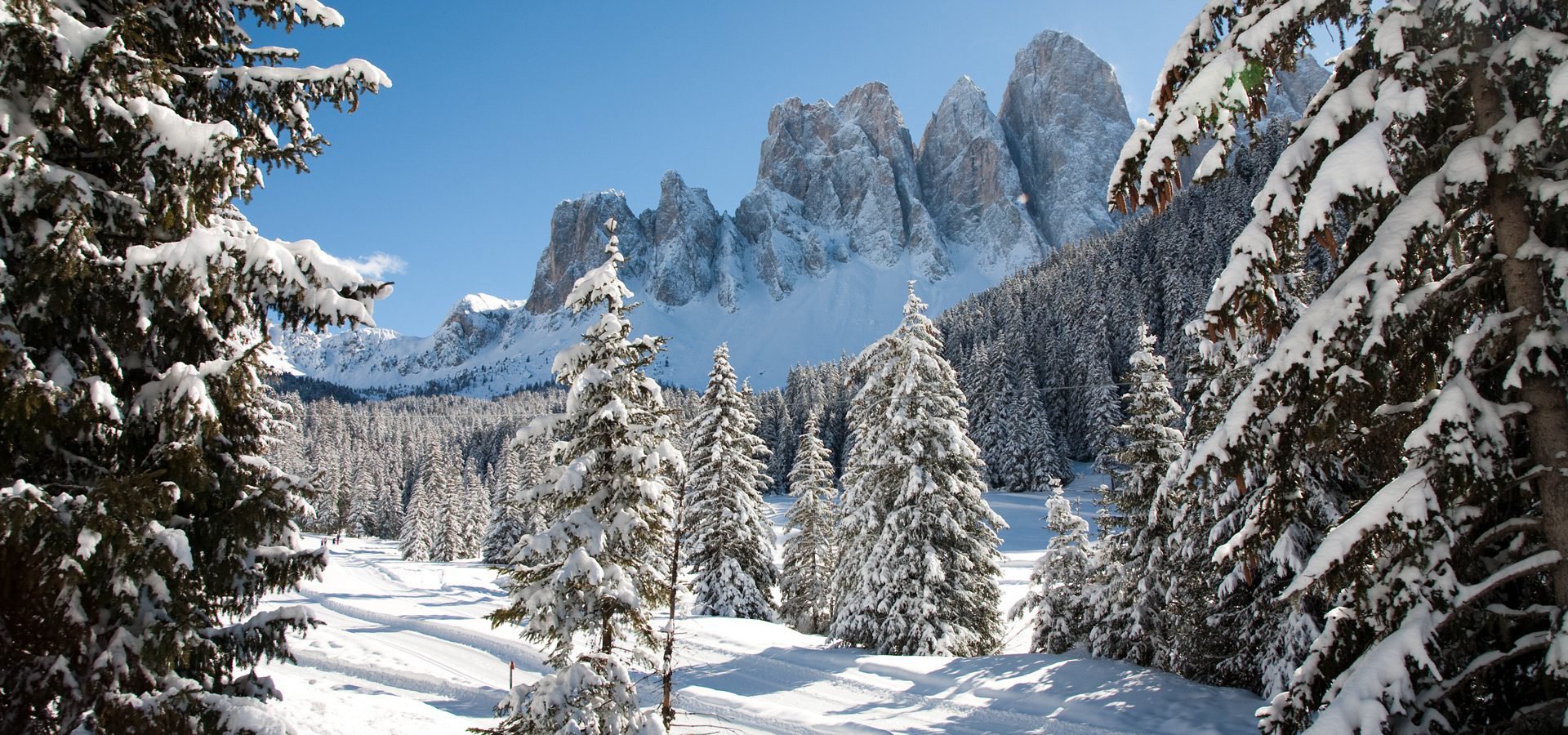 schneeschuhwandern-villnoess