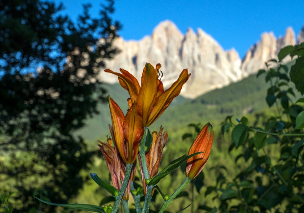 wanderurlaub-dolomiten